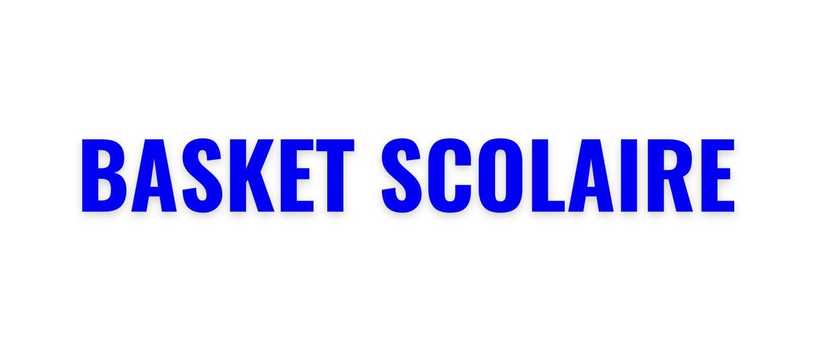 Basket Scolaire