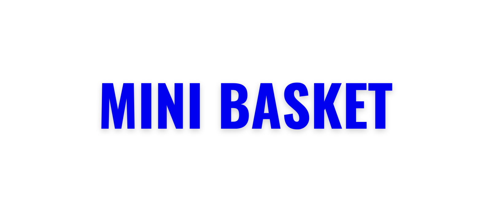 MiniBasket