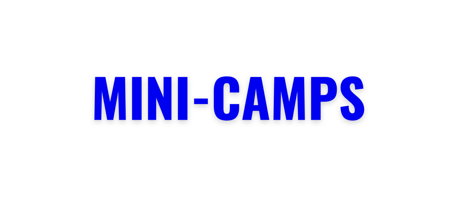 Mini-Camps